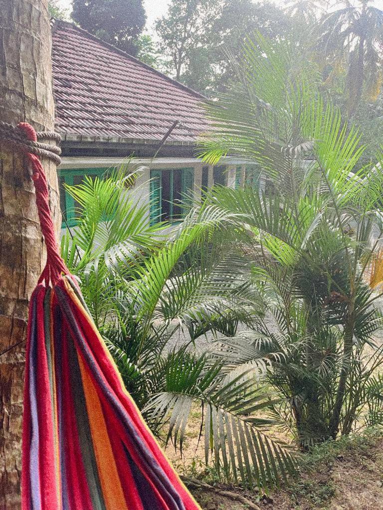 Lazy Monkey Surfhostel - Sri Lanka Dickwella Exterior photo
